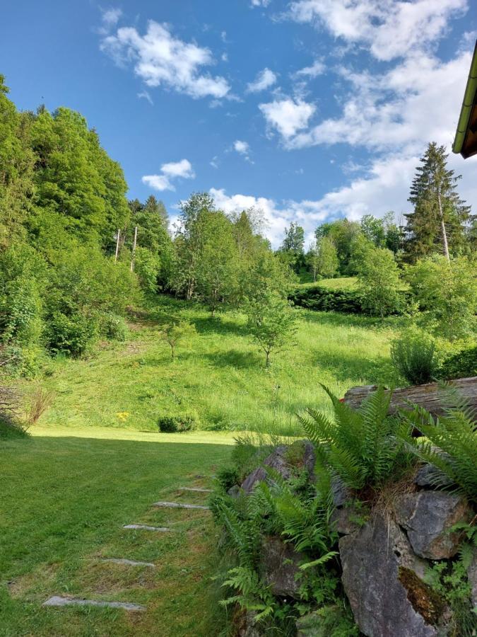 Chalet Peter Zell am See Luaran gambar